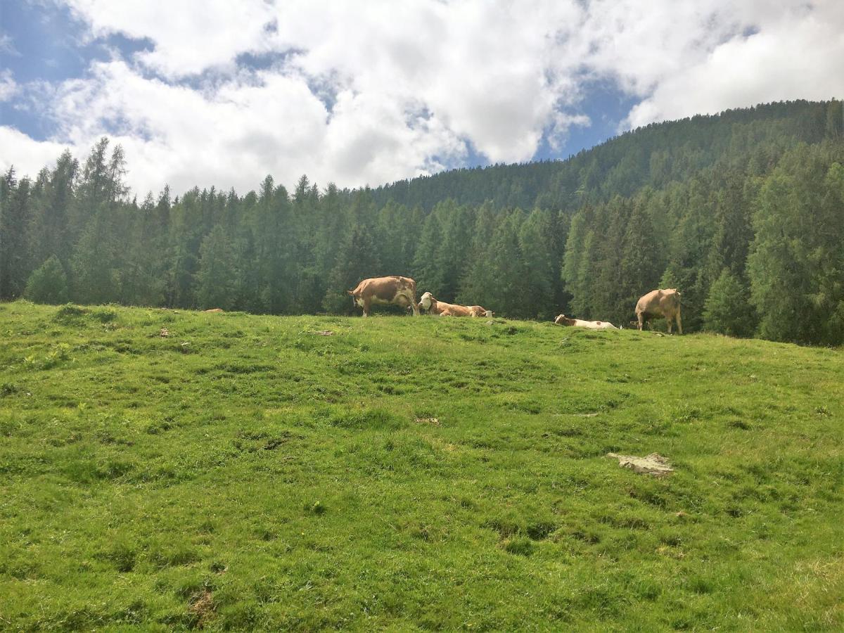 Appartamento Sul cucuzzolo Marilleva Esterno foto