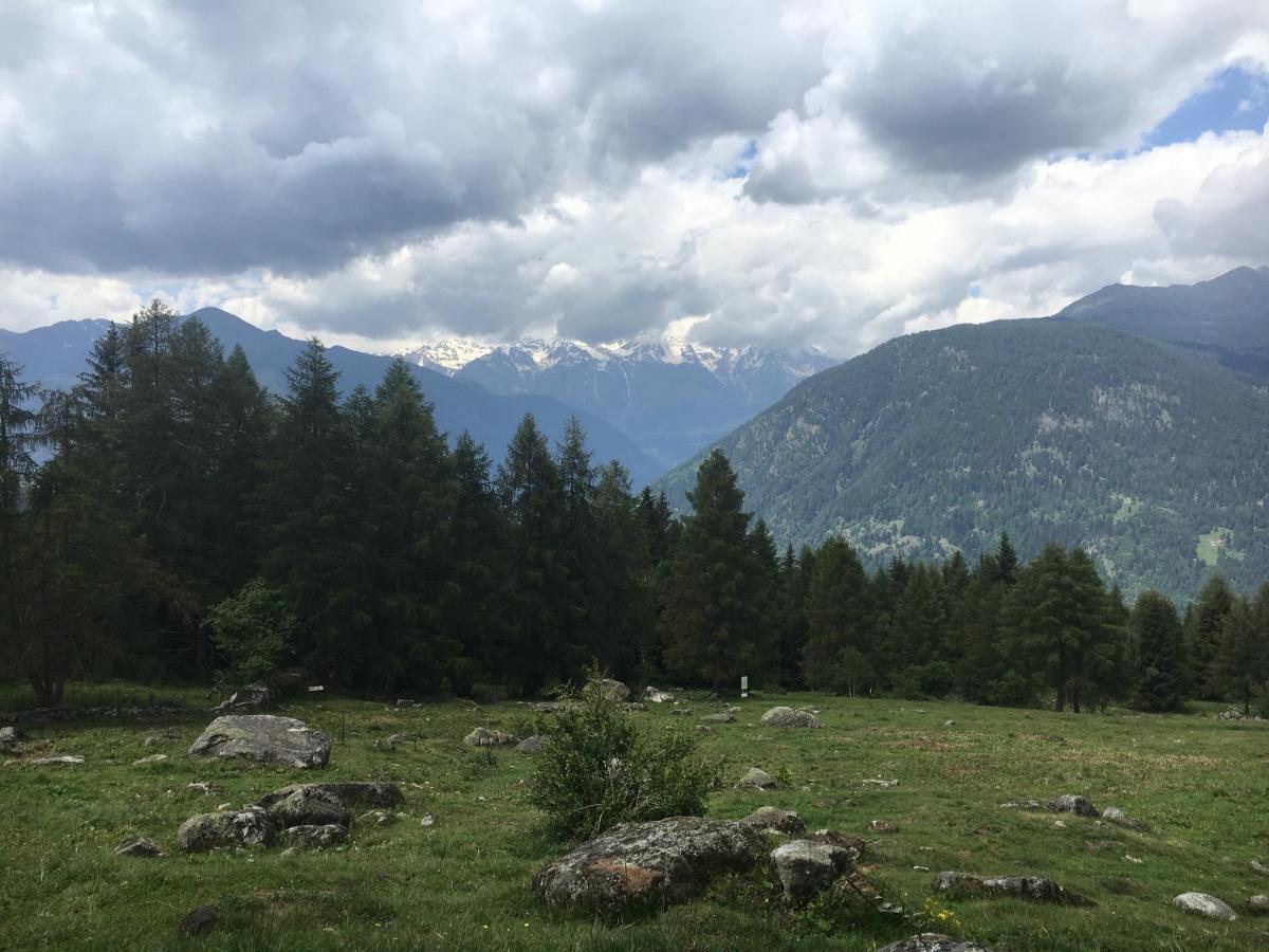 Appartamento Sul cucuzzolo Marilleva Esterno foto