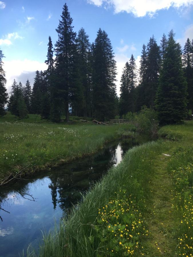 Appartamento Sul cucuzzolo Marilleva Esterno foto