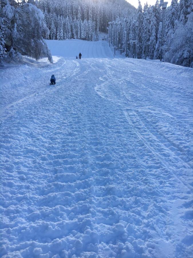 Appartamento Sul cucuzzolo Marilleva Esterno foto