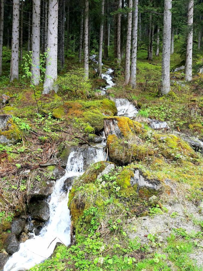 Appartamento Sul cucuzzolo Marilleva Esterno foto
