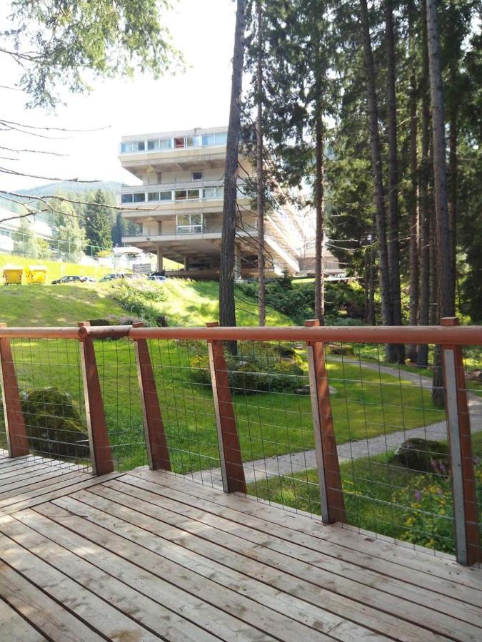 Appartamento Sul cucuzzolo Marilleva Esterno foto